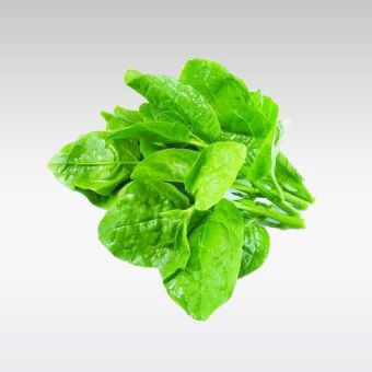 Leaf Spinach- 1x1501